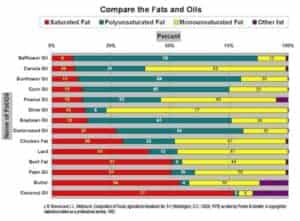 fat comparison2 300x221 - Easy Homemade Mayonnaise