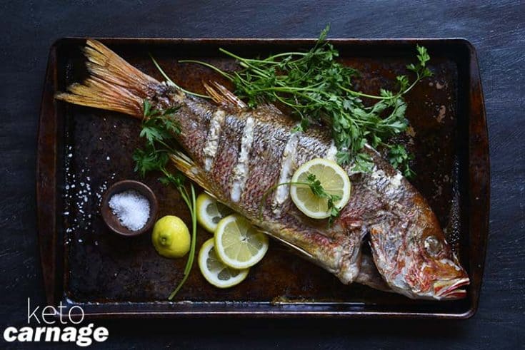 Snapper 2 735x491 - 40 of the Best Carnivore Diet Recipes