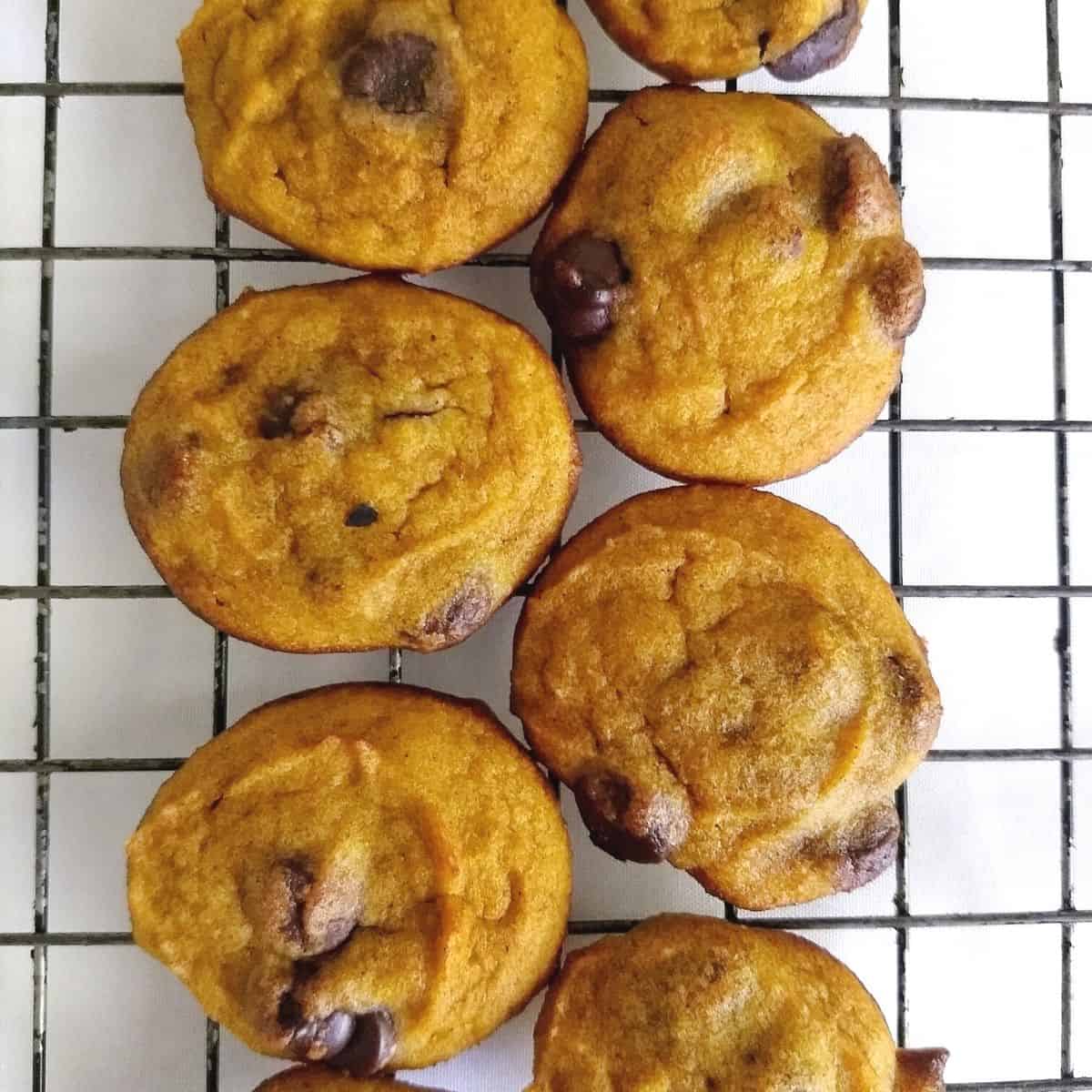 Over head shot of pumpkin cookies with chocolate chips layed out on cooling rack