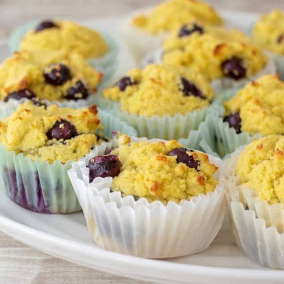 blueberry muffins