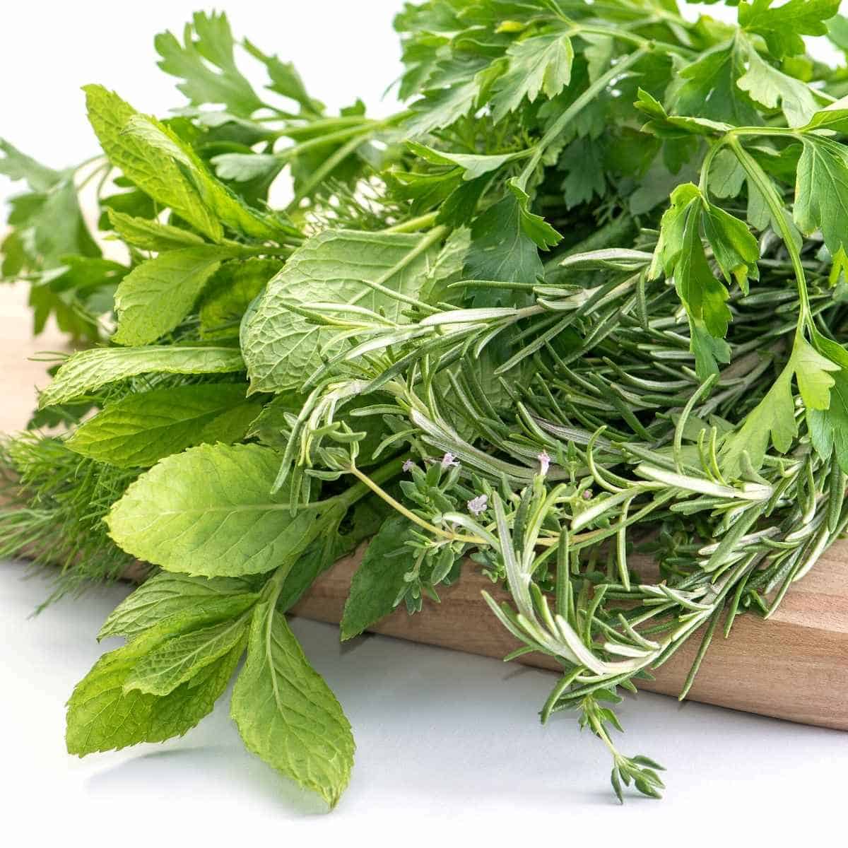 fresh herbs on a cutting board - 36 Herbs And Spices That Are Keto Friendly