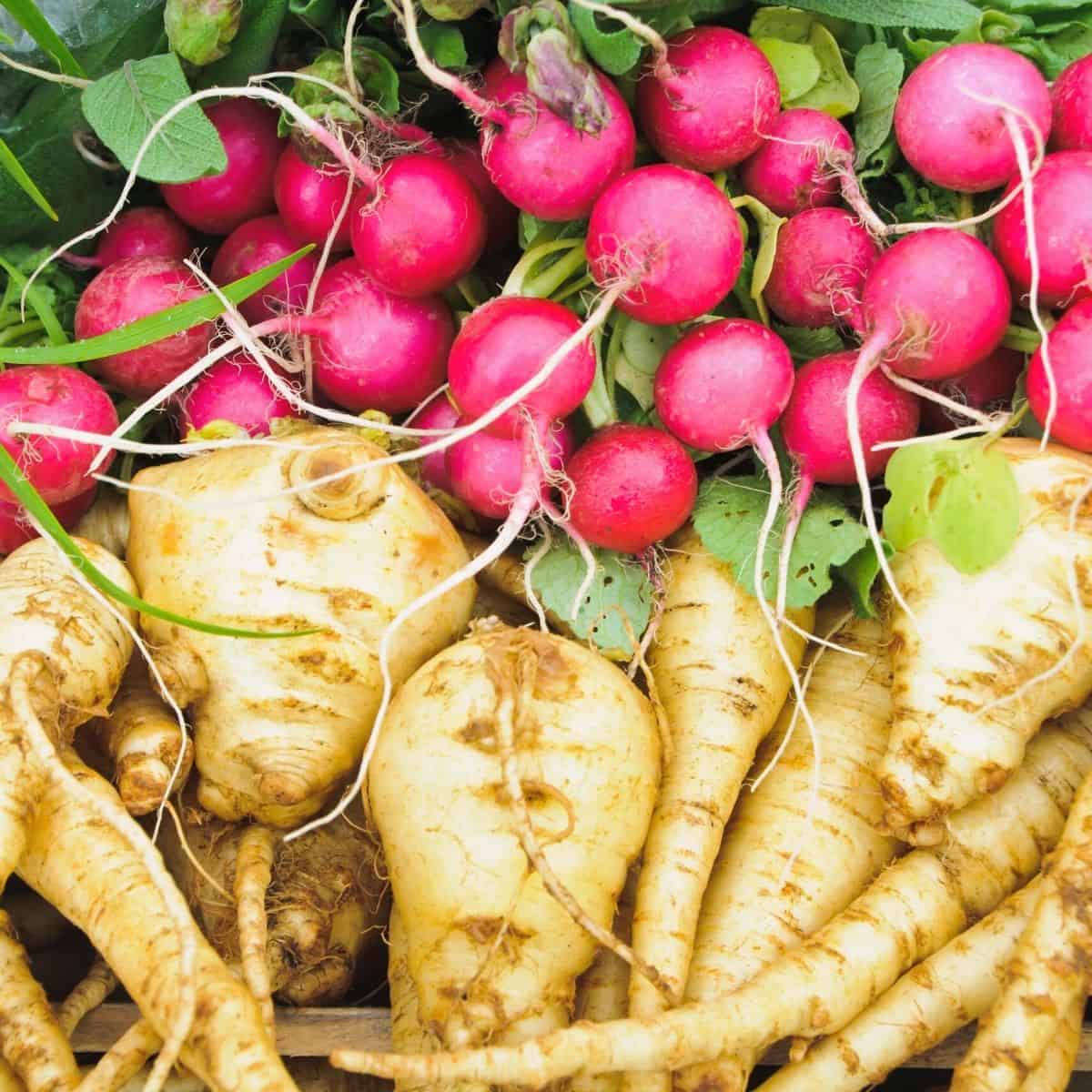 radishes and parsnips - Are Parsnips Keto? How to eat them on Keto.