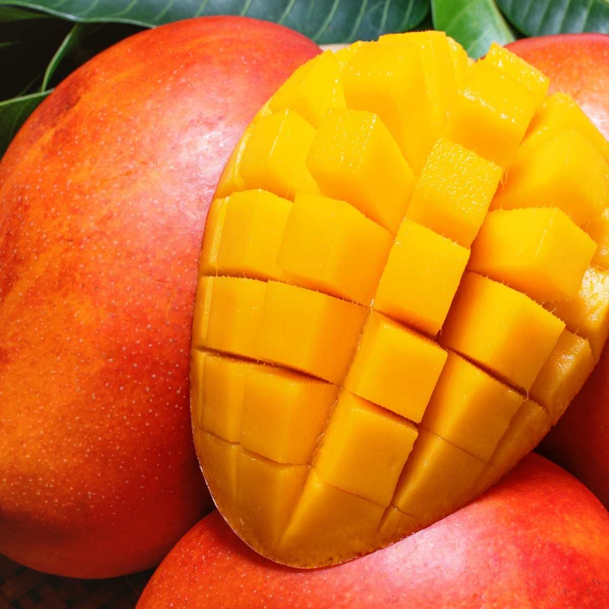 open sliced mango