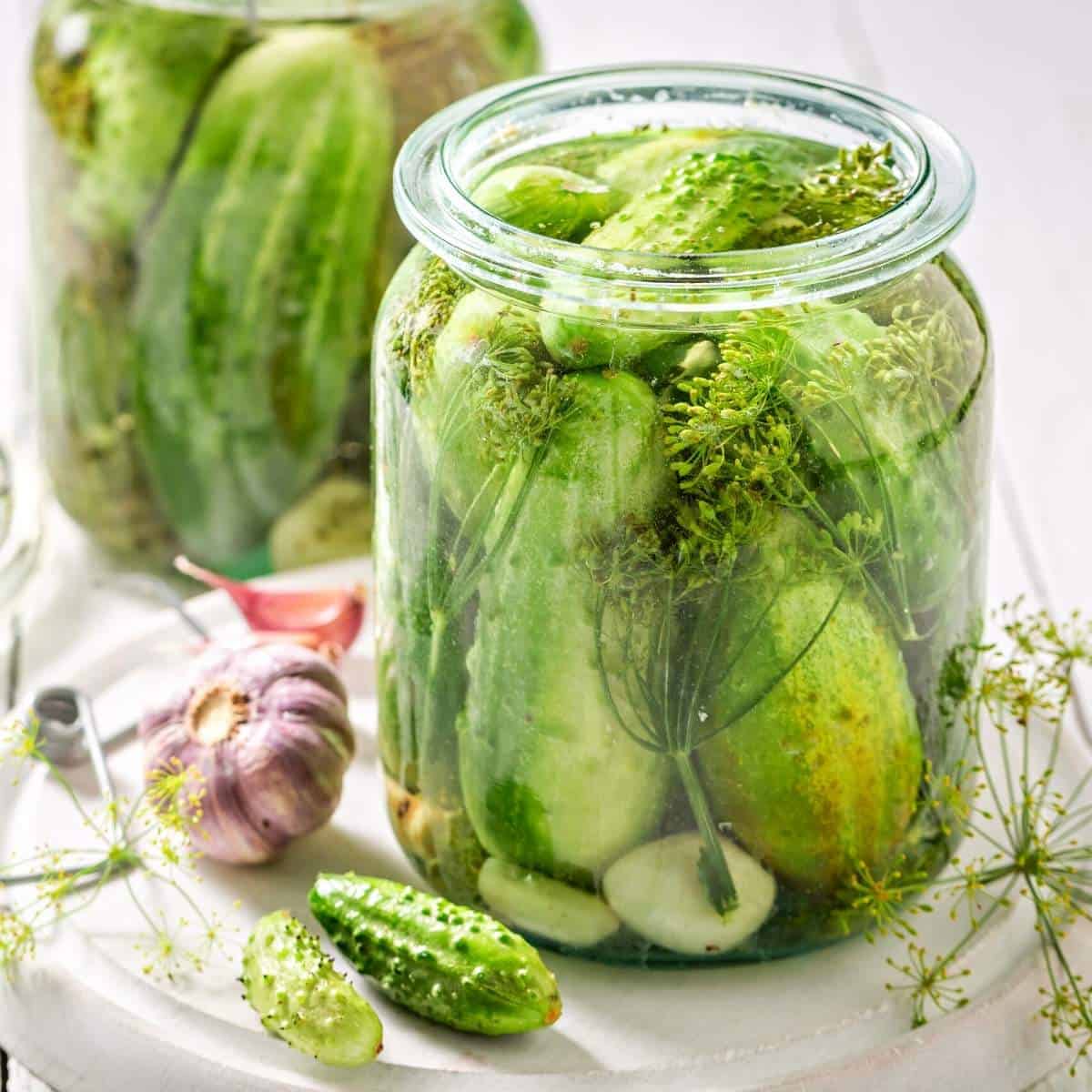 jar of pickles and herbs