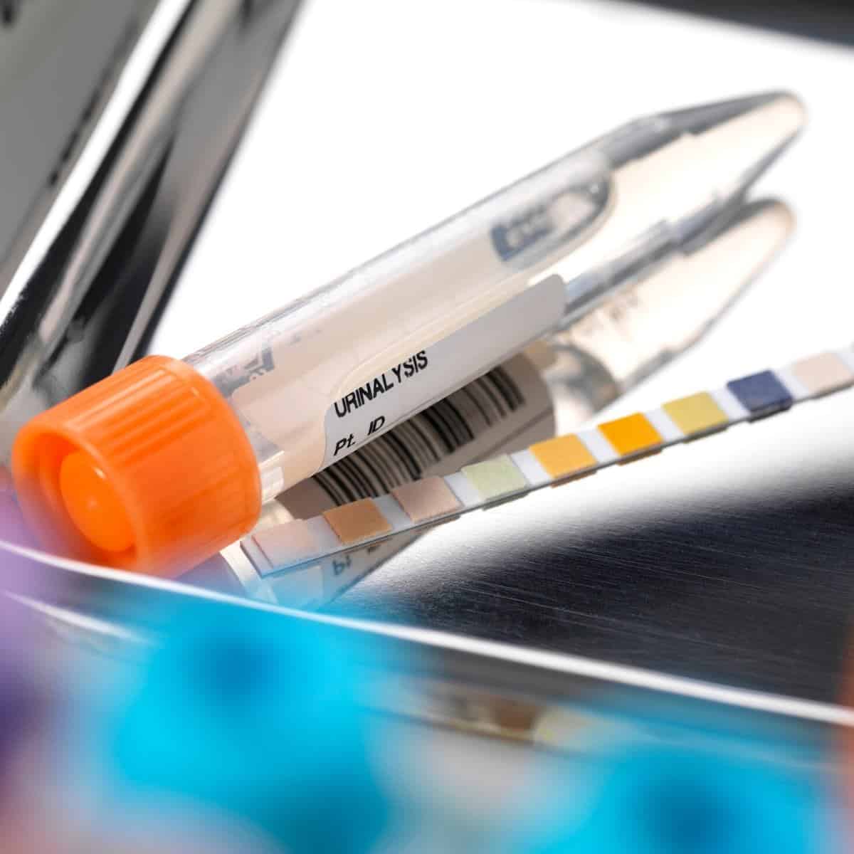 6 vanlige myter om keto flaske væske - 6 vanlige myter om Keto